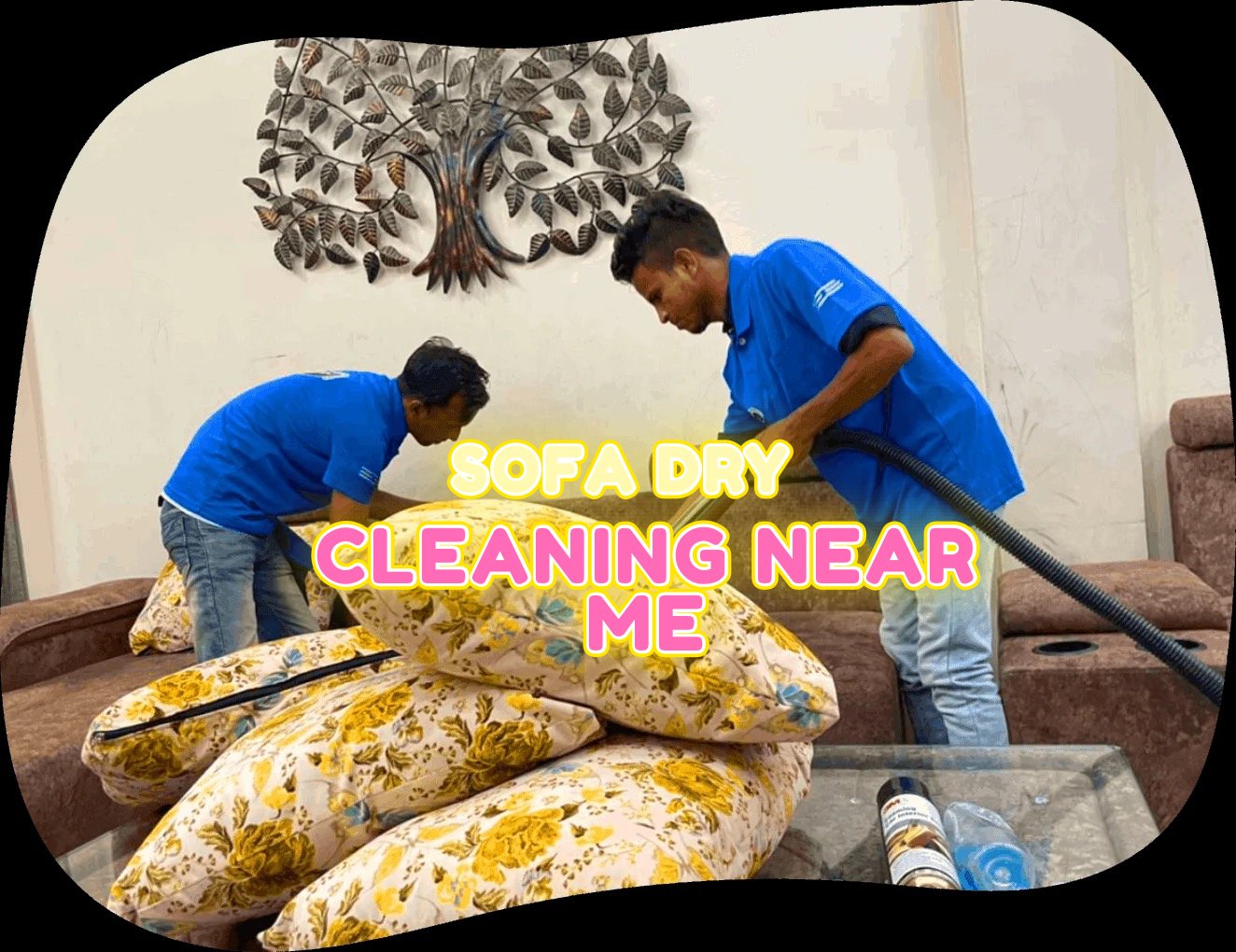 sofa dry cleaning service